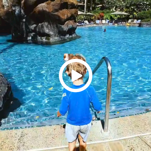 A child in blue stands poolside near steps, with a backdrop of rocks and a waterfall in a lush outdoor setting.