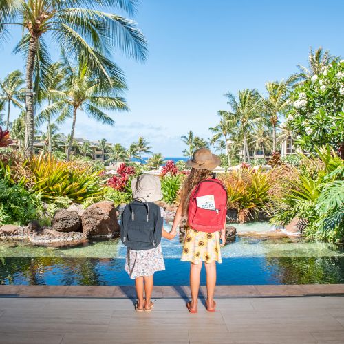 Two children with backpacks stand in a tropical setting, gazing at a pond surrounded by lush greenery and palm trees.