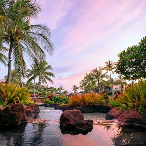 A tropical landscape featuring palm trees, vibrant vegetation, and a reflective water body under a pink-hued sky at sunset or sunrise.