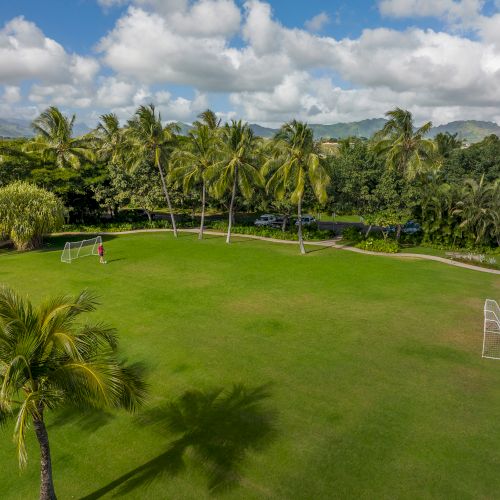 Open grassy field with two soccer goals, surrounded by palm trees, under a partly cloudy sky.