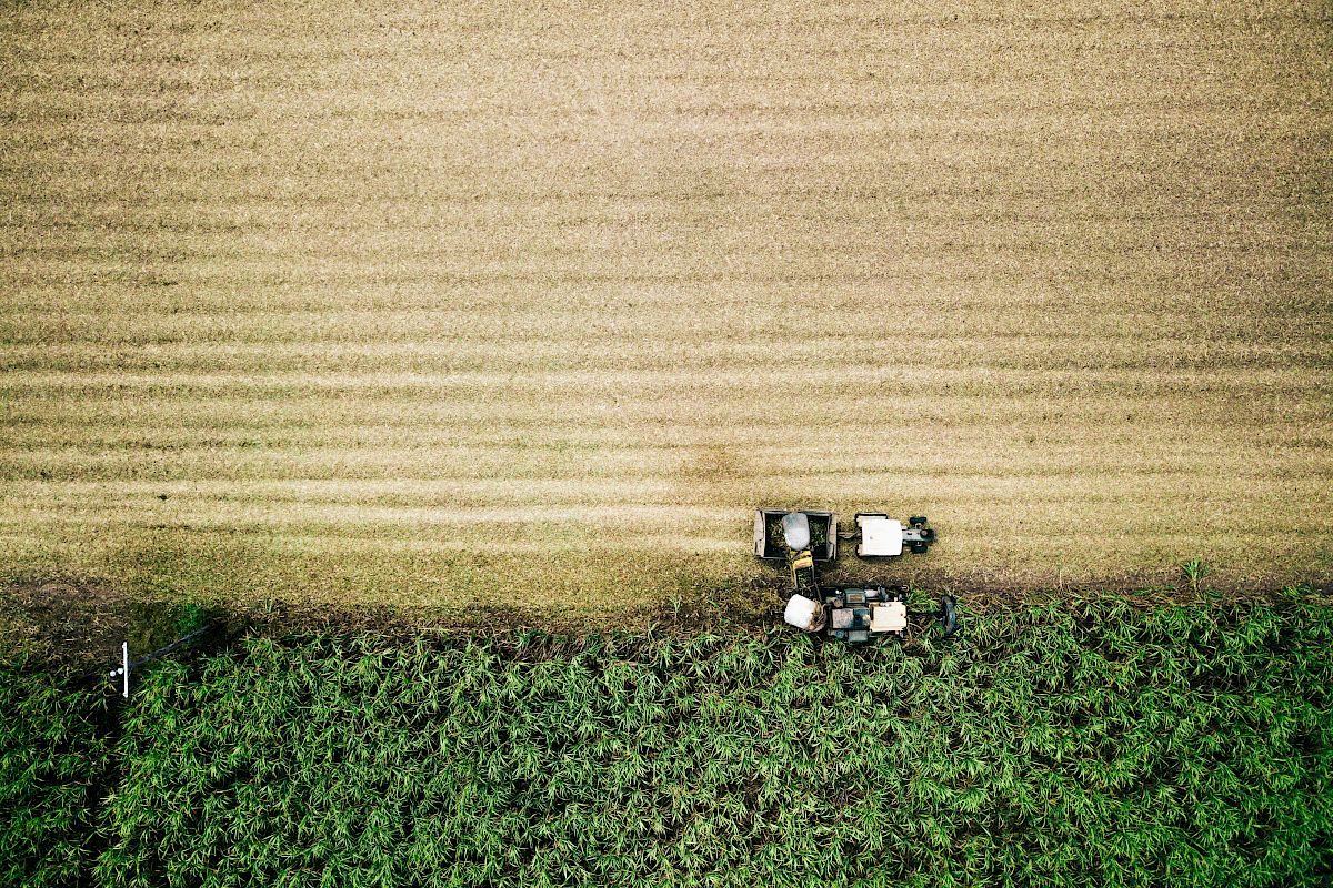 Aerial view of two tractors working a field, dividing a green section from a harvested one, showcasing agricultural work progress.