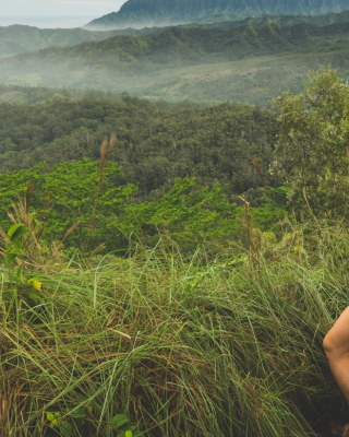 A person with a red backpack stands on a lush, green hillside, overlooking a distant ocean view surrounded by mountains and clouds.